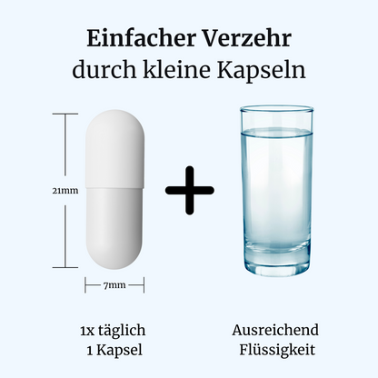 AuroVia® intens – Ohren & Hörfunktion