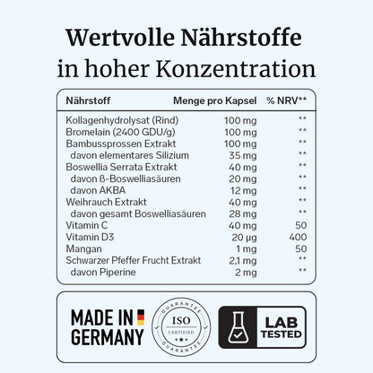 ElastoVia intens – Sehnen & Bänder