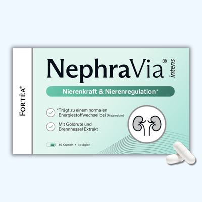 NephraVia® intens – Nierenkraft & Nierenregulation