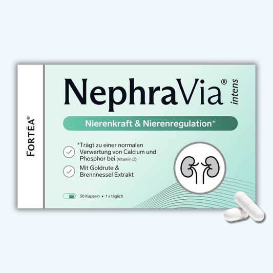 NephraVia® intens – Nierenkraft & Nierenregulation