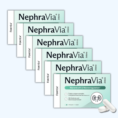 NephraVia® intens – Nierenkraft & Nierenregulation