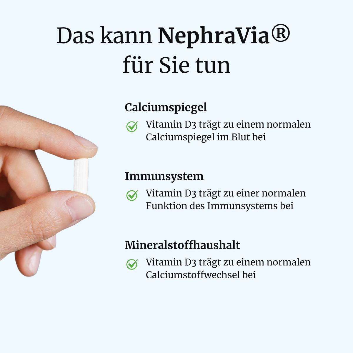 NephraVia® intens – Nierenkraft & Nierenregulation