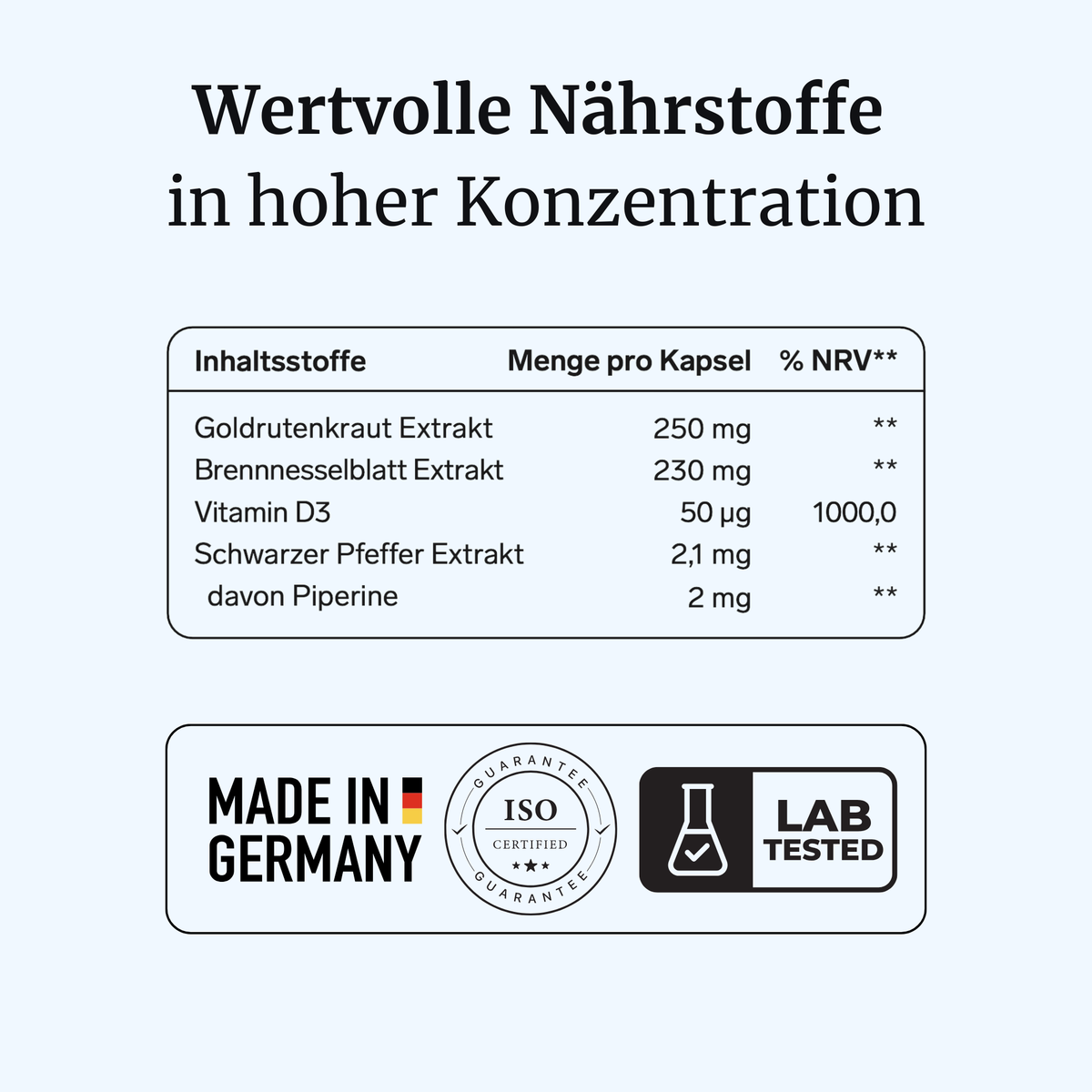 NephraVia® intens – Nierenkraft & Nierenregulation