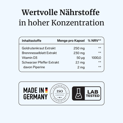 NephraVia® intens – Nierenkraft & Nierenregulation